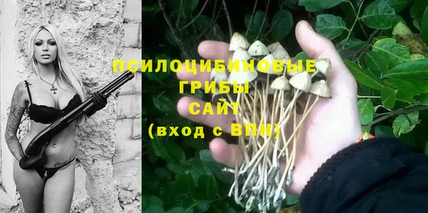 амф Абаза