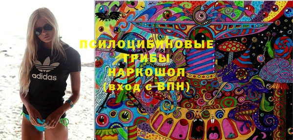 ПСИЛОЦИБИНОВЫЕ ГРИБЫ Абдулино