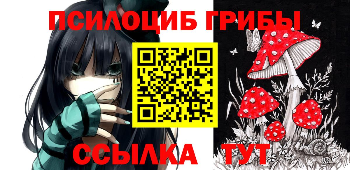 Галлюциногенные грибы Psilocybine cubensis  Вход с VPN  Галлюциногенные грибы мухоморы  Нижний Тагил 